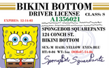 Drivers License on a Laminated ID Card 3.4 inches by 2.2 inches.