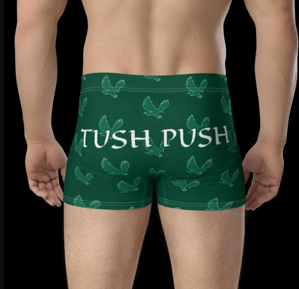 Philly Football Boxer Briefs for Men, Funny Men's Underwear