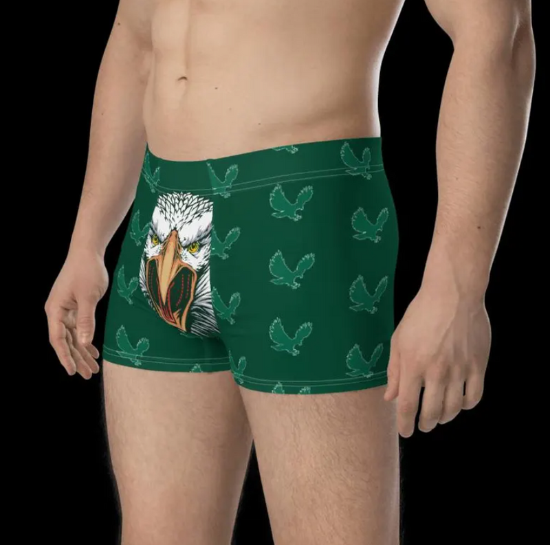 Philly Football Boxer Briefs for Men, Funny Men's Underwear