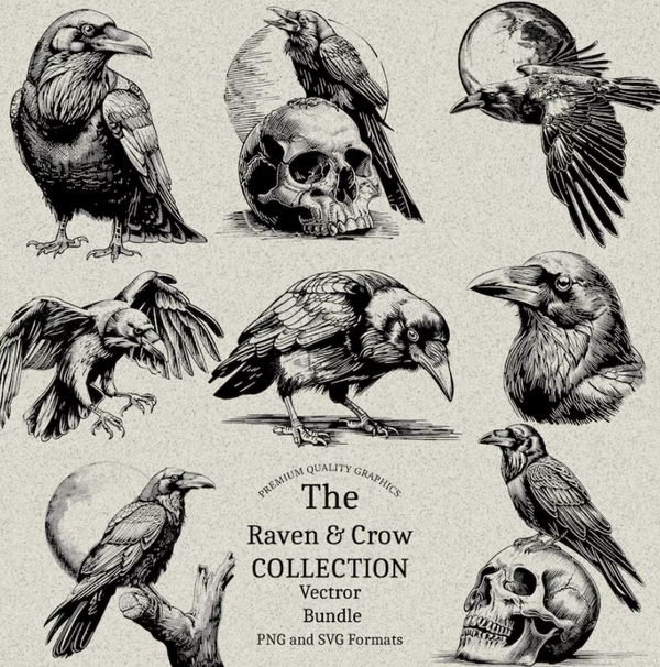 40 Raven and Crow Designs Bundle PNG & SVG Digital