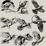 40 Raven and Crow Designs Bundle PNG & SVG Digital